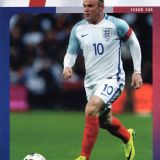 free lions  russia 2016